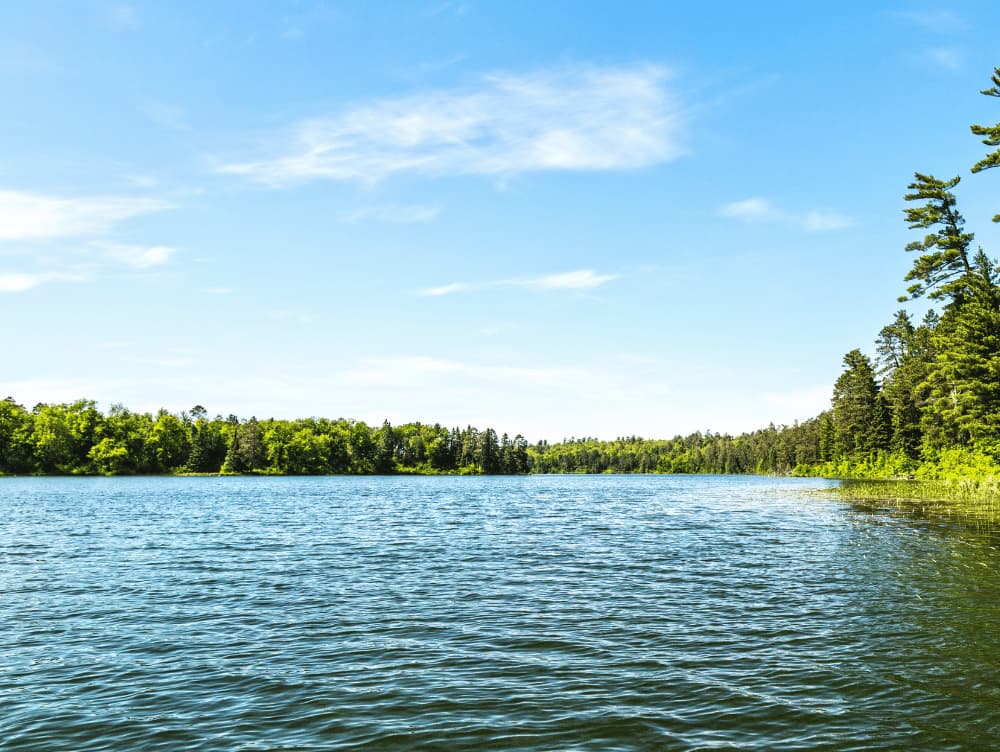Balsam Bay listing photo