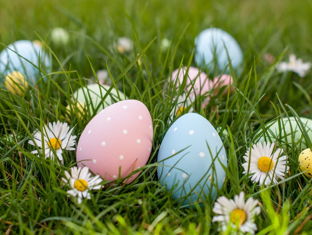 Easter Egg Hunt