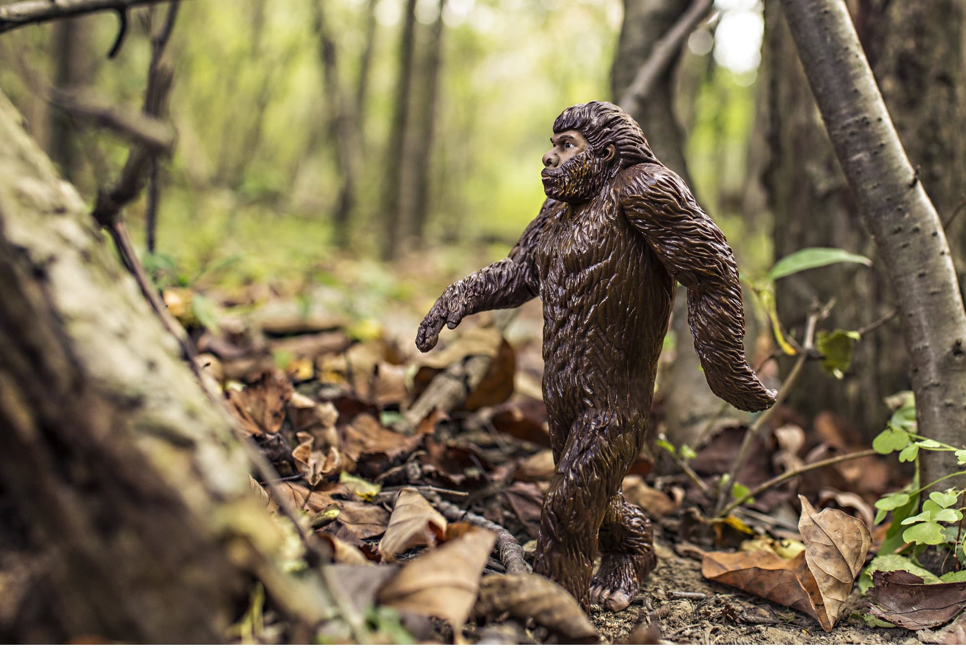 bigfoot (1)